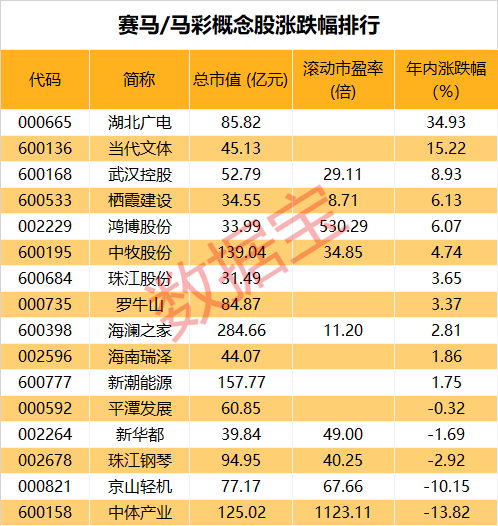 2024澳门马今晚开奖记录,澳门马今晚开奖记录——探索彩票背后的故事与魅力