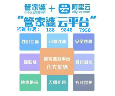 777778888精准管家婆,揭秘精准管家婆，777778888背后的智慧与管理艺术