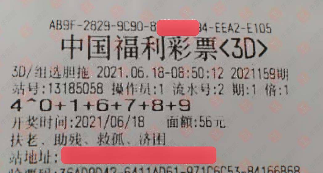 新澳门彩4949开奖记录,澳门新彩彩票的犯罪问题及其社会影响，深度剖析与警示呼吁