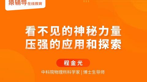 新管家婆一肖六码,新管家婆一肖六码，揭秘背后的秘密与探索其潜力