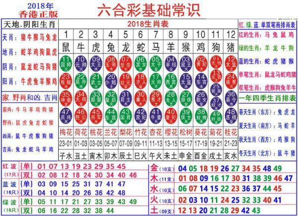 2024新澳门正版免费资料生肖卡,探索新澳门正版免费资料中的生肖卡奥秘——迎接2024年