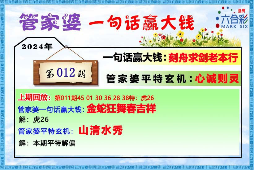 管家婆期期四肖四码中,管家婆期期四肖四码中的奥秘与策略